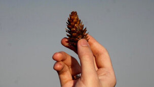 Ternyata Ini Rahasia Atasi Masalah Pria Secara Permanen