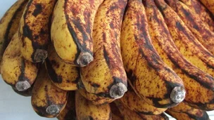 Siapa yang Menderita Diabetes Baca Segera sebelum Dihapus