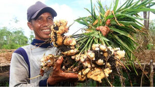 Itu menyembuhkan diabetes saya tanpa obat! Cobalah juga